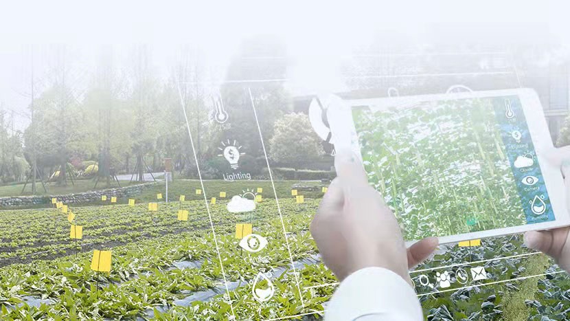 數(shù)字鄉(xiāng)村大腦，為數(shù)字鄉(xiāng)村發(fā)展按下“快進(jìn)鍵”